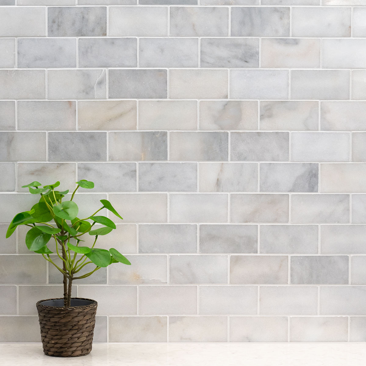 Greecian White Marble Subway Tile 3x6 - Image 6