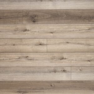 Andover Blythe Luxury Vinyl Plank (Everlife® Rigid Core)