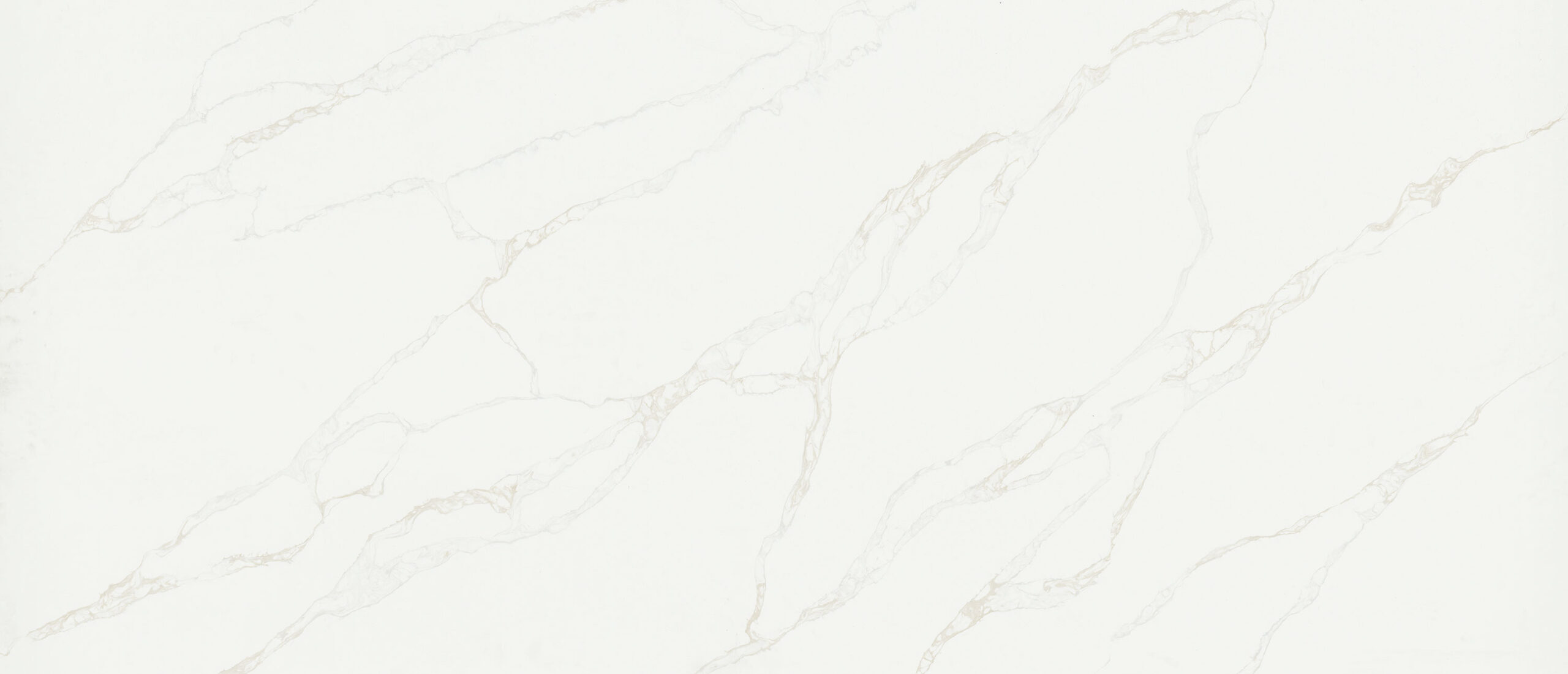 Calacatta Rivessa Quartz