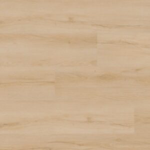 Nove Plus Fallonton