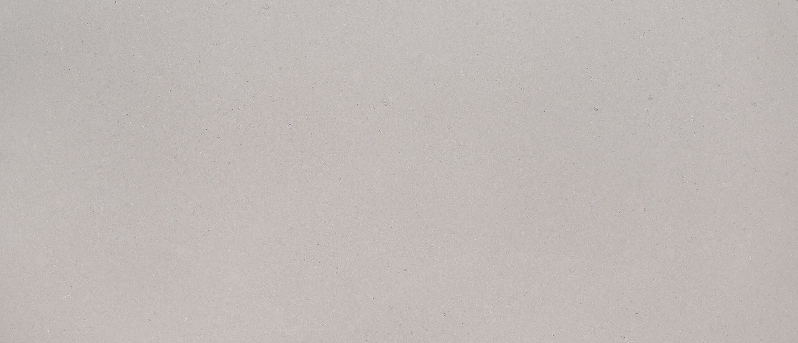 Fossil Gray Matte Quartz