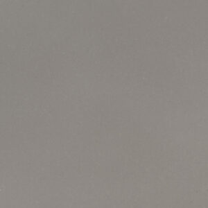 Fossil Gray Quartz