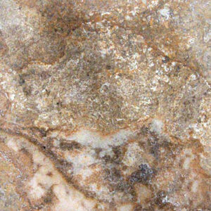 Tuscany Scabas 18x18