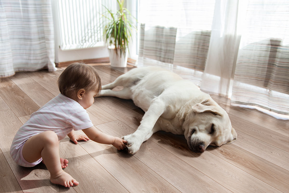 XL Cyrus® Whitfield Gray® Luxury Vinyl Planks - Image 3