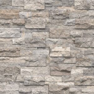 Silver Travertine
